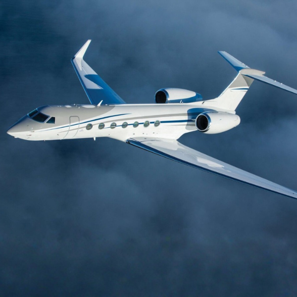 Artisan pastry with powdered sugar